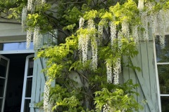 Villa Flora workescape